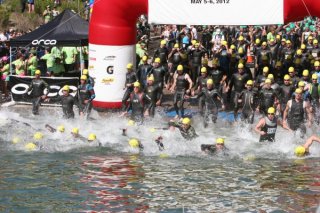 Wildlflower Swim Start