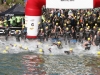 Wildlflower Swim Start