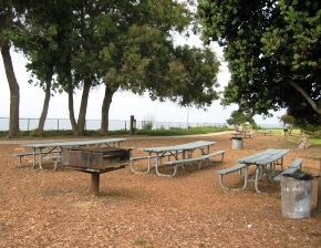 SB Tri/SBAA Sandy's Memorial BBQ @ Shoreline Park Group Picnic Area | Santa Barbara | California | United States