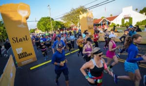 Santa Barbara Wine Country Half Marathon 2023 @ Solvang